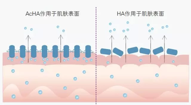 PCHi 2017展会预览：新型高效柔肤因子-乙酰化透明质酸钠