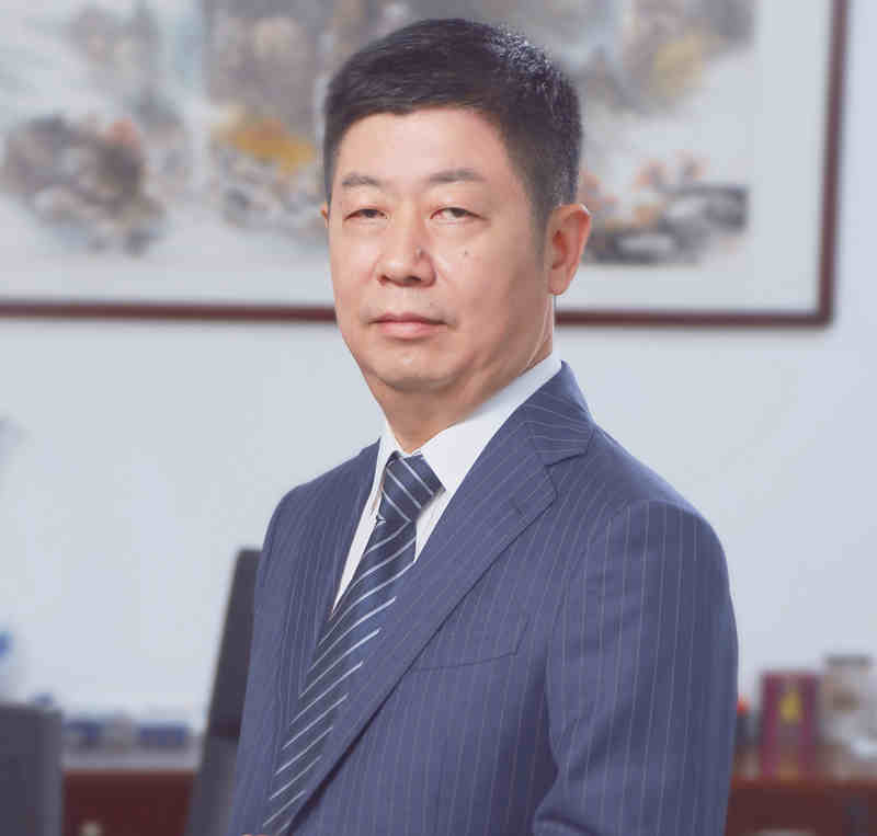 湖南泰嘉新材料科技股份有限公司董事副总经理李辉