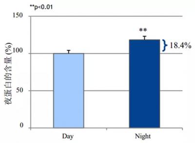 Nocturshape生物钟减肥疗法，24小时瘦不停！