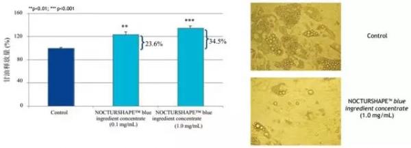 Nocturshape生物钟减肥疗法，24小时瘦不停！