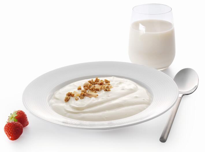 Palsgaard Yoghurt naturel