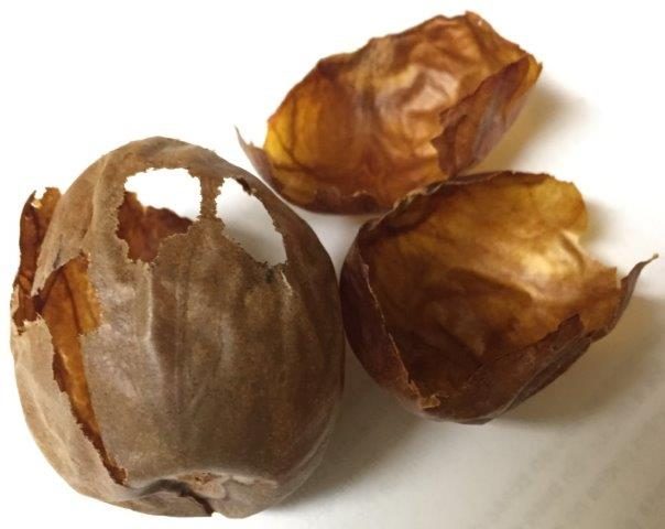 牛油果核外壳可用作化妆品和香水原料
