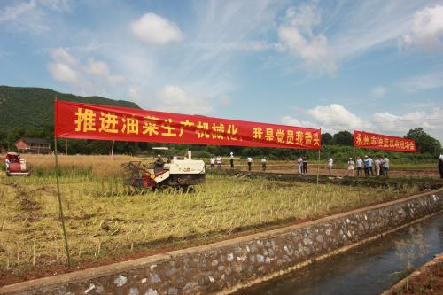 全国多地开足马力  积极推进油菜生产机械化