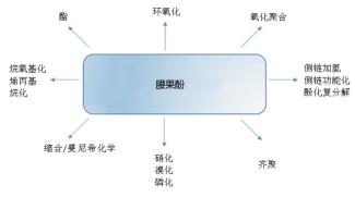 图2：腰果酚的潜在功能化实例
