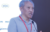 杨柯 研究员，中国科学院金属研究所