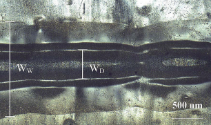 图 5. 焊接区的光学显微照片实例