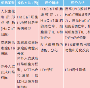 表4 功能性化妆品的细胞评价