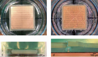 图 3：失效阻隔示例，使用 Evonik 的 Silikophen AC 1000。a）带涂层 ENIG 样品，干层厚 40 μm，无流体介质接触；b）与细胞培养基 DMEM 接触 7 天后的材料损伤；c）带样品和漆层的孔显微截面；d）显微镜下记录的涂层材料损伤和 FR-4 基板上 ENIG 表面的粘附力损失（©TUM）