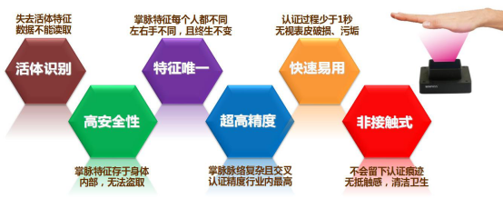 图3：手掌静脉识别特征