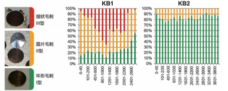 图 3：常规普通钻头 KB1 和 KB2 孔口毛刺类型的分布比例