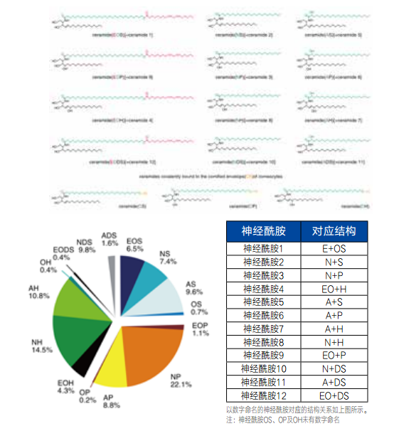 上图数据取自：Bernadette Breiden, Konrad Sandhoff. The role of sphingolipid metabolism in cutaneous permeability barrier formation.Biochimica et Biophysica Acta 1841(2014）441–452