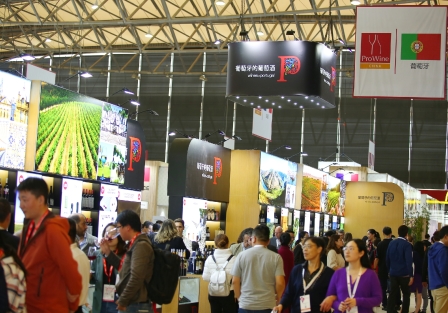 putaoyahongjiu@prowine-2