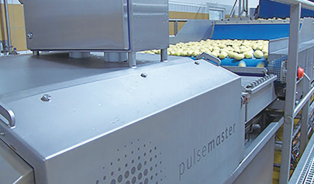 脉冲电场处理技术应用于整个土豆，能去除其中的水分，并让土豆在较低的温度下煎炸。照片来源：Pulsemaster