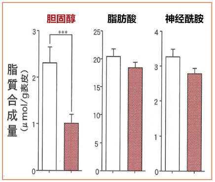  若龄肌（左）和熟龄肌（右）脂质合成量对比
