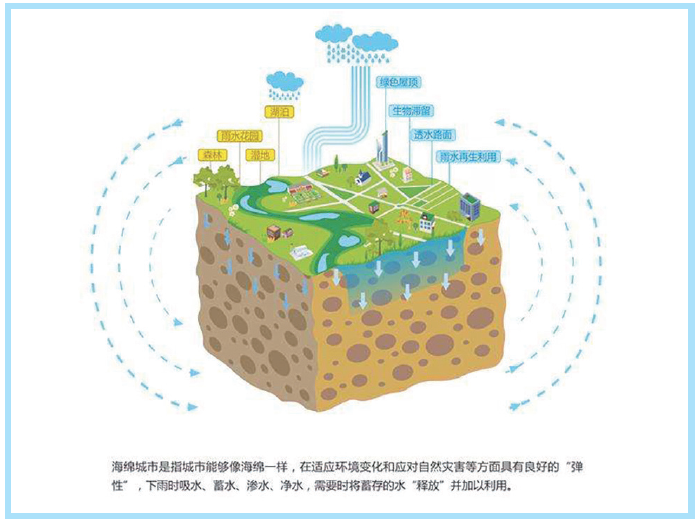 海绵城市示意图。塑料管道是海绵城市建设不可或缺的“零件”