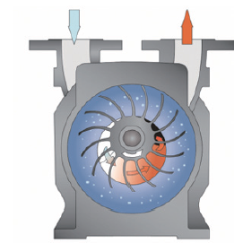 图2：Dolphin液环真空泵压缩腔室截面图