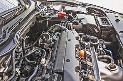 K 2019：Teknor Apex推出新型低吸水性聚酰胺 6 (PA 6)系列产品