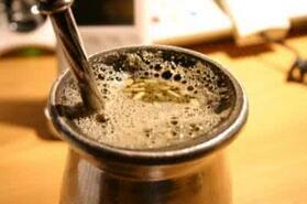 新配料探秘：马黛茶
