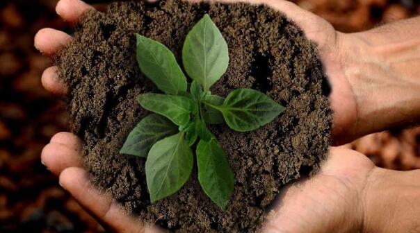 杜邦营养与健康事业部发挥可持续发展全球领导作用