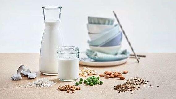 Danisco® VEGE发酵菌种: 用于植物基食品与饮料的最广泛的发酵菌种产品