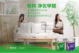 紫荆花打造高校毕业生“梦想家”