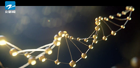 彗搏科技：全球领先的医学修复专家