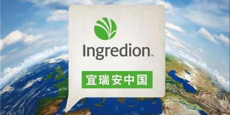 投资中国！宜瑞安宣布在中国建造新改性淀粉综合工厂
