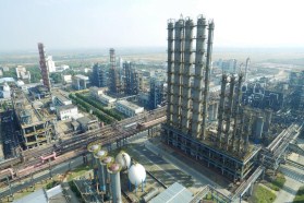 埃肯星火有机硅迎来成立50周年纪念