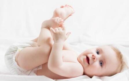 金鹿集团进军纸尿裤市场