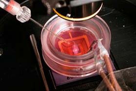 新型生物传感器技术可实现即时检测