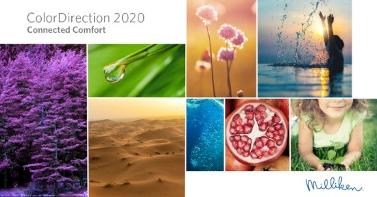 美利肯“ColorDirection 2020”探索人生旅途之美妙色彩