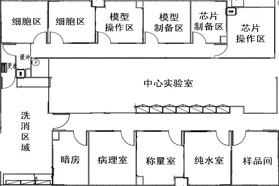 化妆品体外科学实验室建设运行与认可(上)