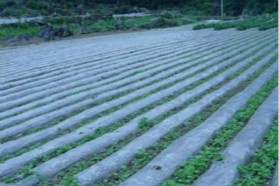 大庆石化农用膜料用质量赢得口碑