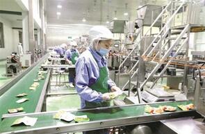 《舌尖3》带火东北酸菜 食品机械助力腌出“高科技”
