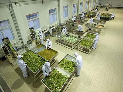 智能制造推动食品工业供给侧改革