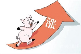 新年后多家轮胎企业纷纷宣布涨价