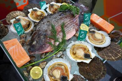 ASC 首次亮相中食展，请你“好好吃鱼”