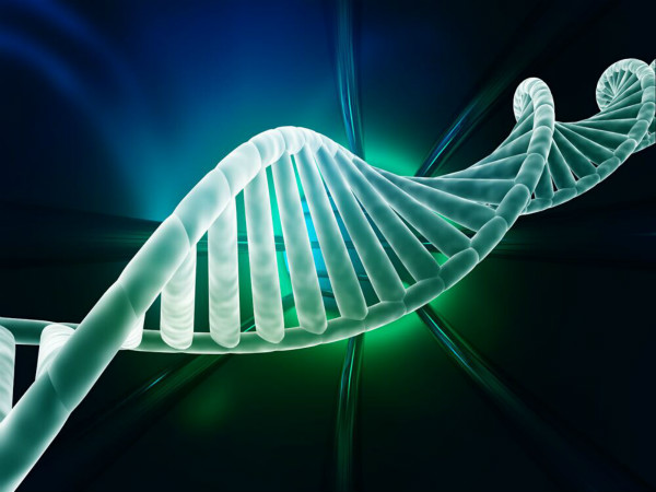 拨费12亿！2018年五大生物医学重点专项项目申报指南发布