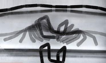 4D打印的关键：生物相容性材料