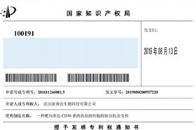 波睿达生物获得以 CD30 为靶标的 CAR-T 发明专利授权