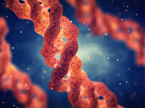 重大生物技术突破：赢创开发新的无动物重组胶原蛋白