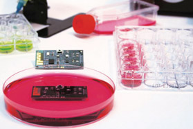 电子器件和材料本体用防护涂层——智能生物医学器件封装用聚合物涂层材料的阻隔效果