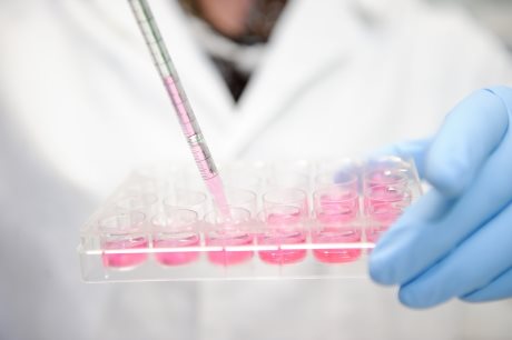 赢创加强再生医学研究