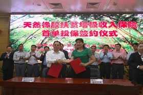 种橡胶有保证  国内首单扶贫收入型保险诞生海南
