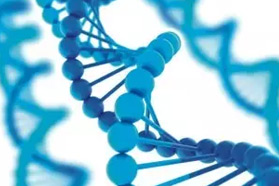 PCHi 2017展会预览：ALGAKTIV®GenoFixCPD光活化酶修复因子