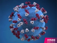 火神山医院完工交付！盘点高分子材料在这场疫战中的作用