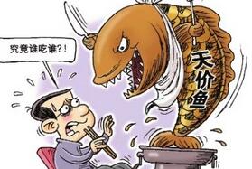 不执行明码标价，“天价小黄鱼”餐厅被罚