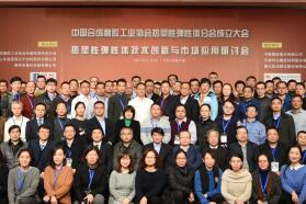 中国合成橡胶工业协会热塑性弹性体分会在京成立
