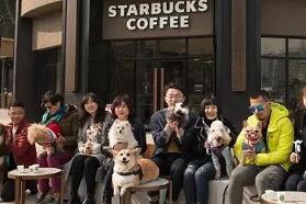 星巴克开宠物友好门店,对接社区餐饮