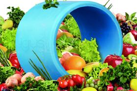 CBB展商精选：易格斯拖链轴承仓储贸易（上海）有限公司展位号：W2D37